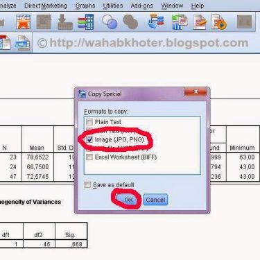 3 Cara Mudah dan Cepat Cara Mengubah Data Output SPSS ke Word yang Jarang Diketahui
