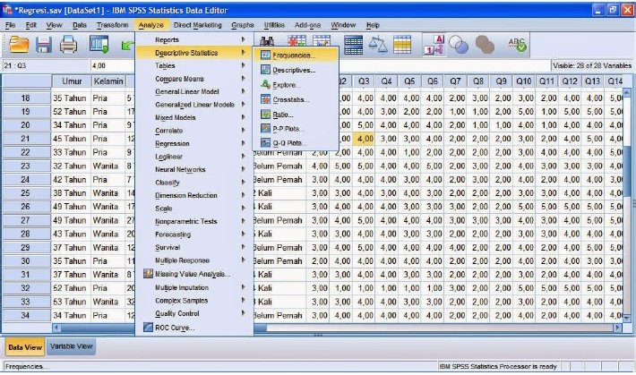 Contoh Penelitian Menggunakan Spss Dalchaebi Contoh Penelitian Menggunakan Spss Dalchaebi