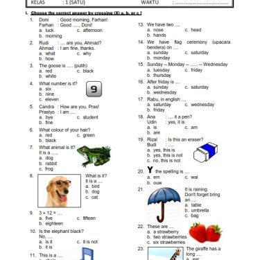 Wajib Tahu Sebelum Ulangan, Ini Link Download Soal Bahasa Inggris Kelas 4 SD Tentang Animals Kurikulum Merdeka